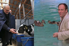 Что роднит сюжеты пропаганды о Лукашенко и телятах с криминальным сериалом «Сопрано»