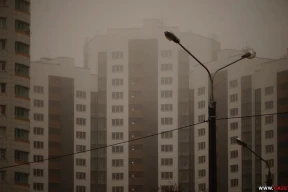 «Через четыре дня никого из «верхушек» компаний не выпустили». Рейды по агентствам недвижимости продолжаются